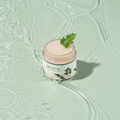 Mugwort Calming Moisturizer - Round Lab
