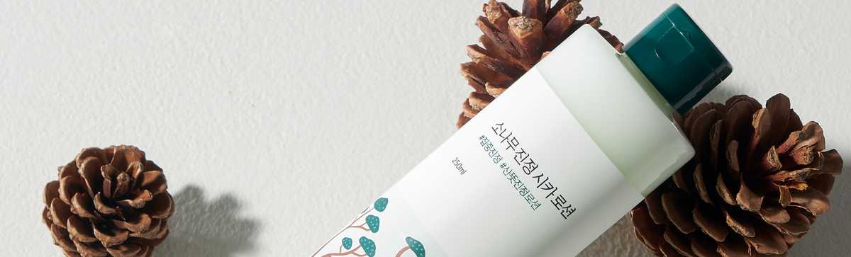 Round Lab skincare bottle with a dark green cap among pine cones