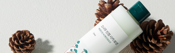Round Lab skincare bottle with a dark green cap among pine cones
