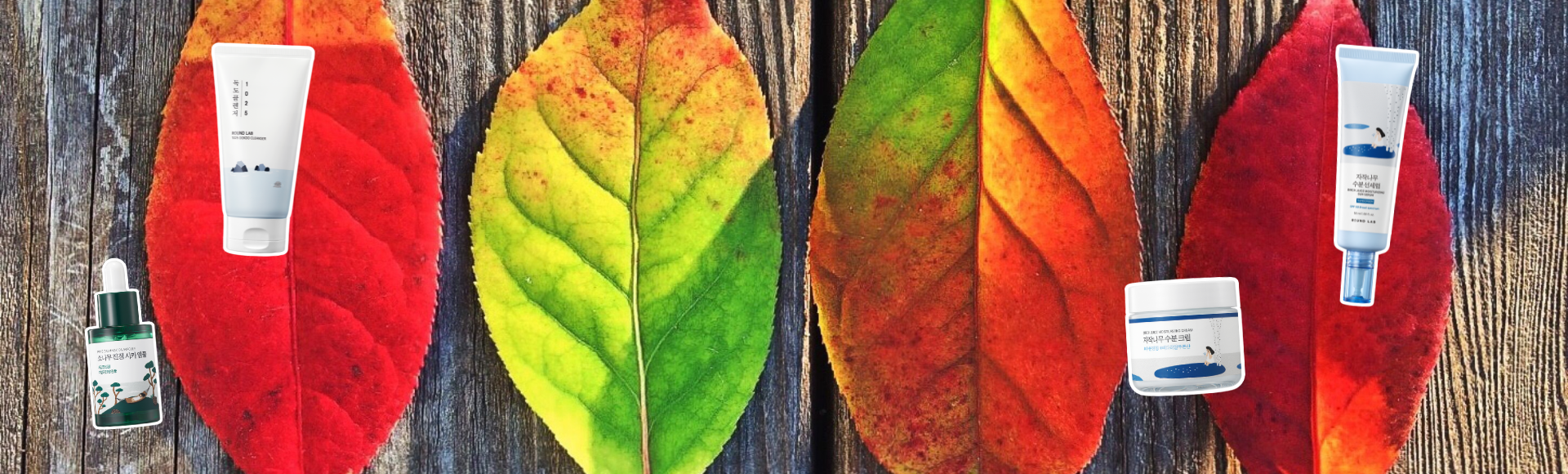 How to Transition Your Skincare from Summer to Fall