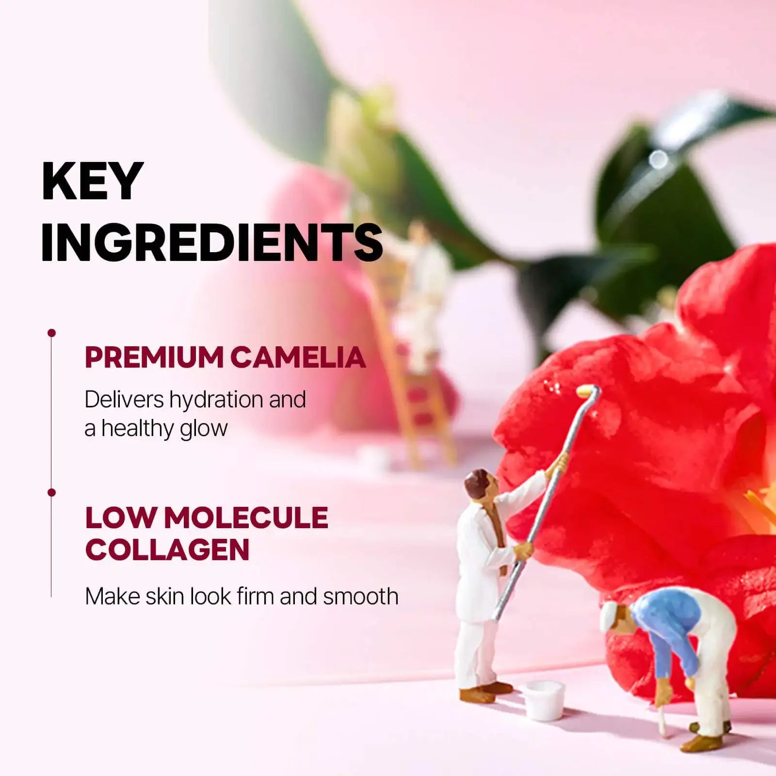 Camellia Deep Collagen Firming Gel Mask | Round Lab