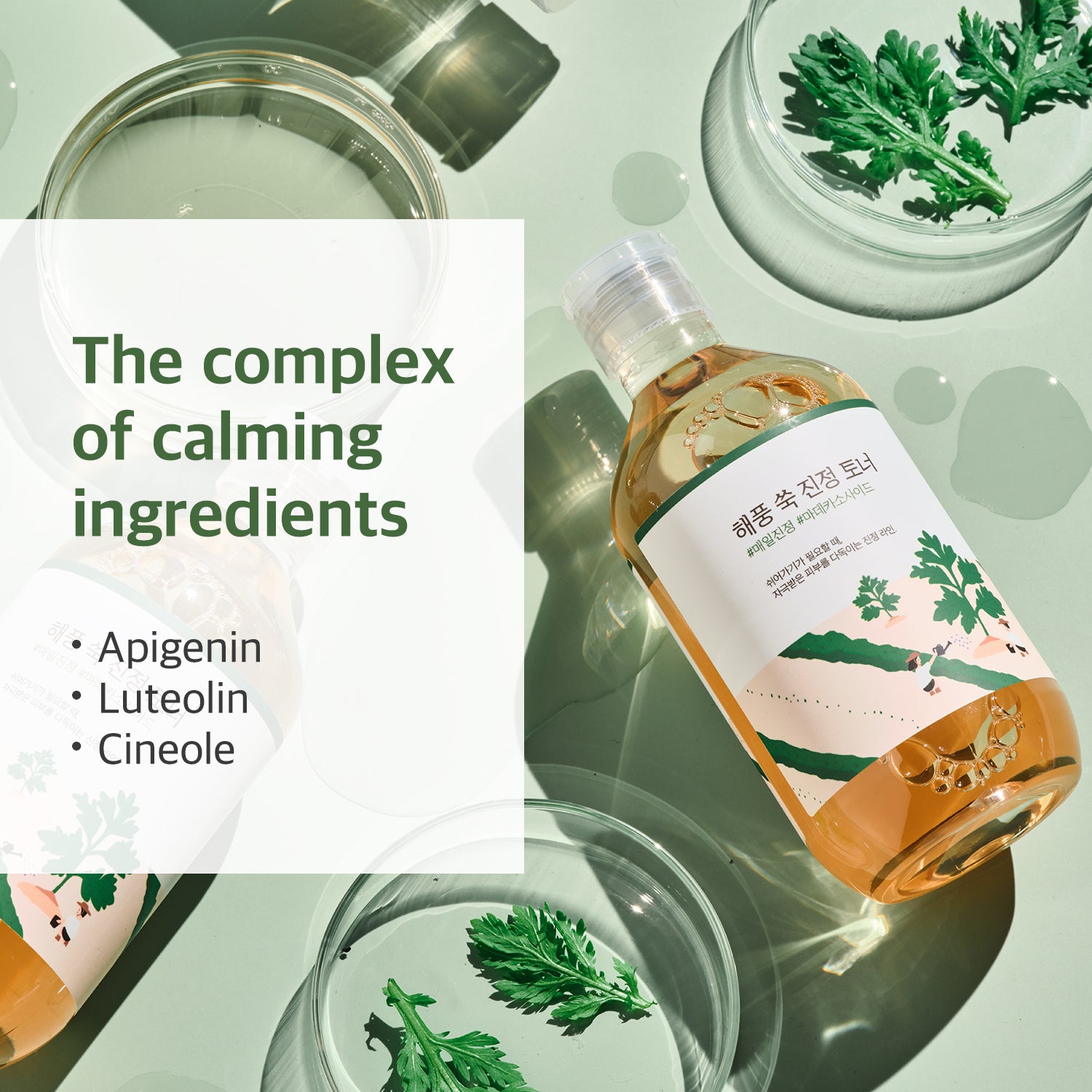 Mugwort Calming Toner | Round Lab