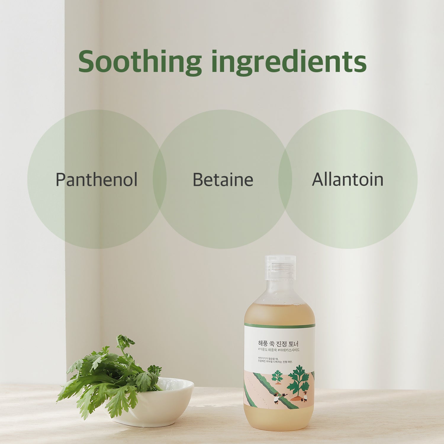 Mugwort Calming Toner | Round Lab