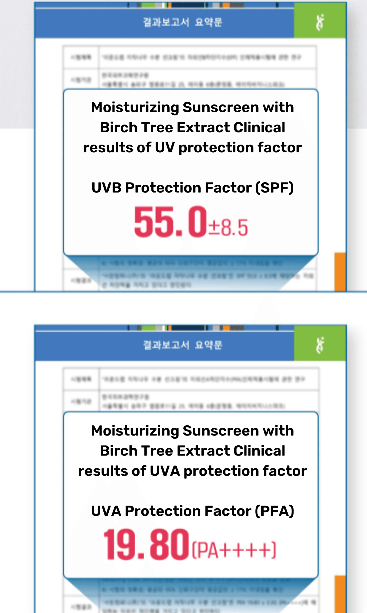 Birch Moisturizing Sunscreen SPF 50+, PA++++ - Round Lab