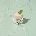 Mugwort Calming Moisturizer - Round Lab