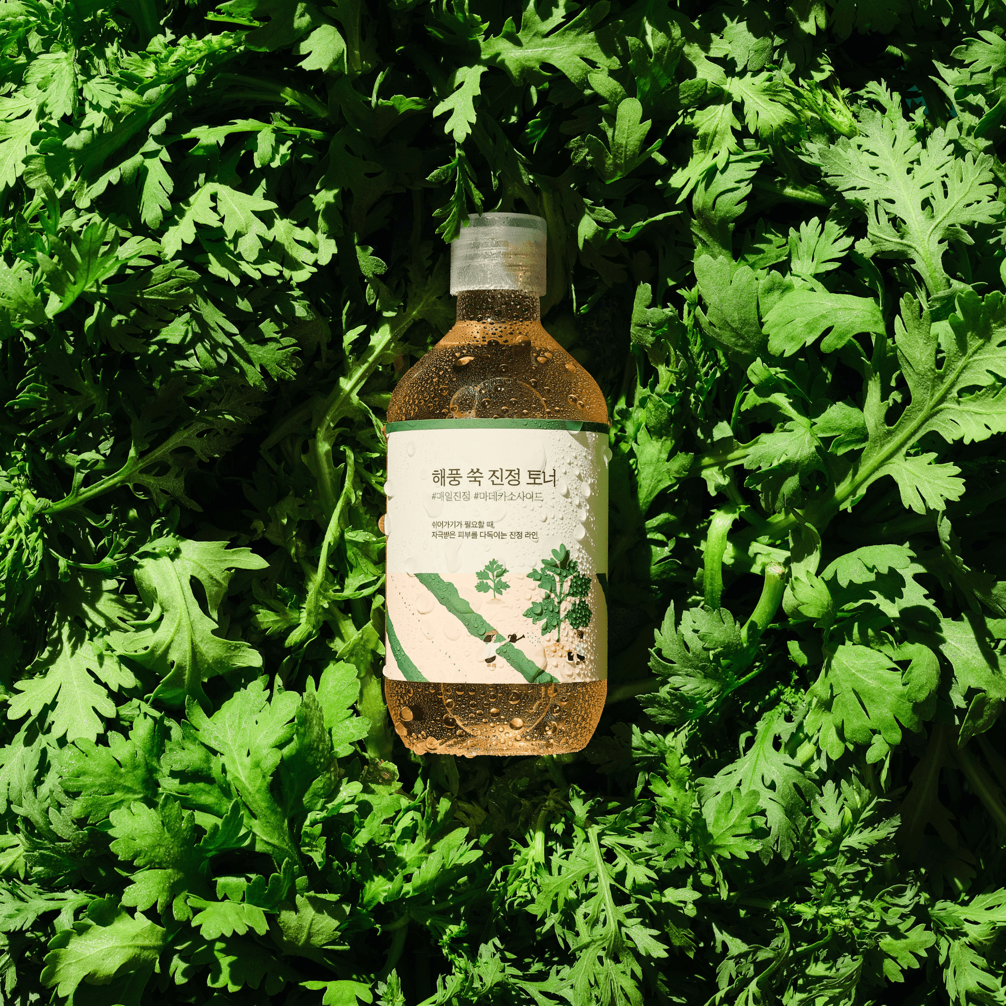 Mugwort Calming Toner - Round Lab