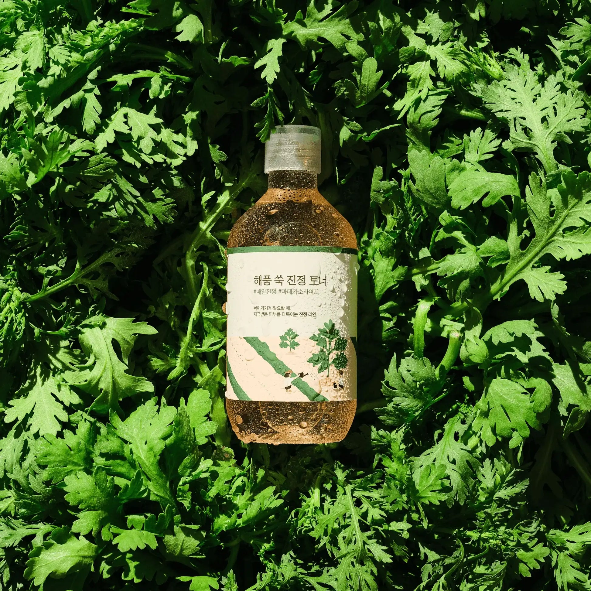 Mugwort Calming Toner | Round Lab Mugwort Calming Toner | Round Lab