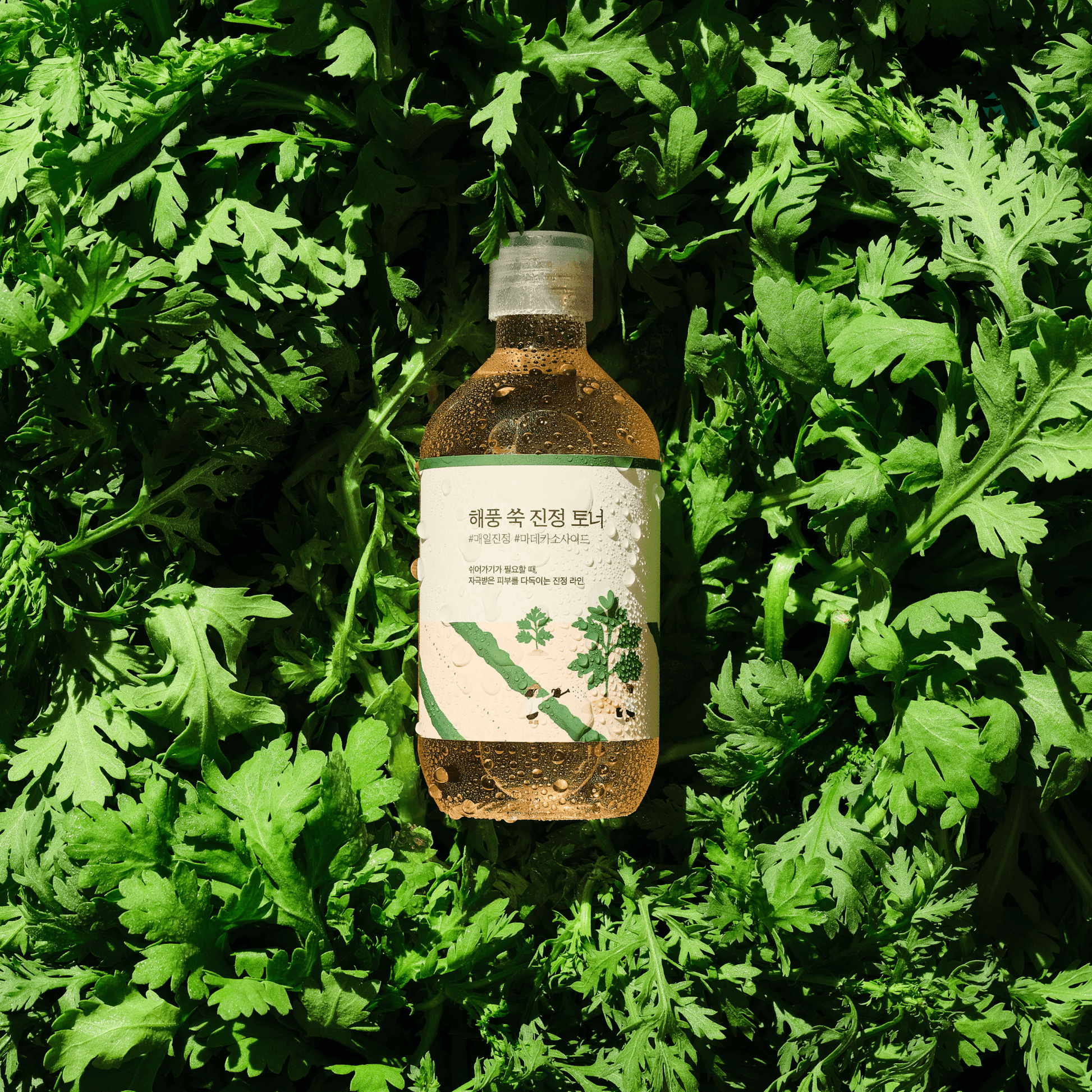 Mugwort Calming Toner - Round Lab