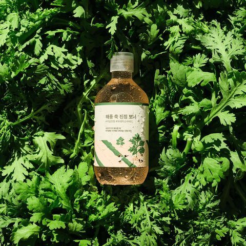 Mugwort Calming Toner | Round Lab
