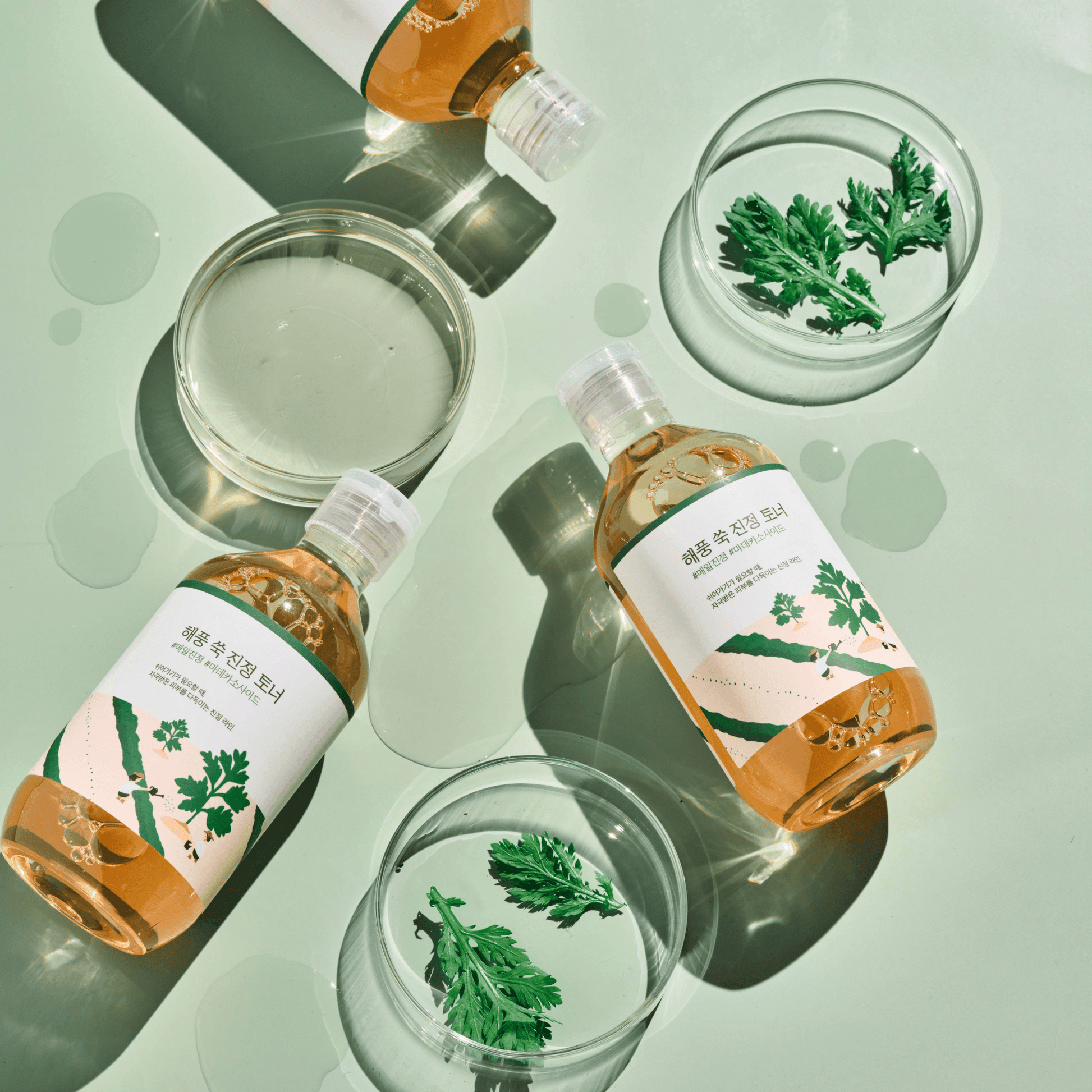 Mugwort Calming Toner - Round Lab
